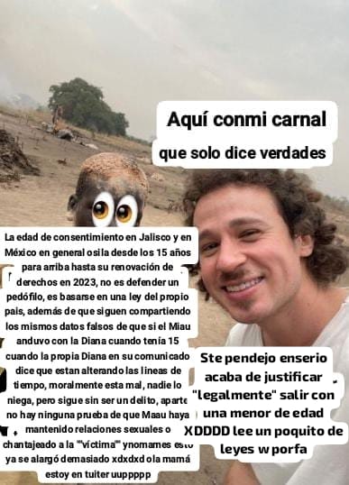 Alan tweet media