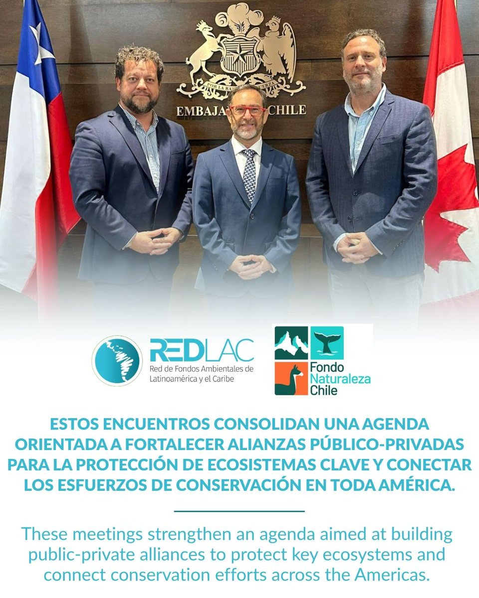 RedLAC acompaña a sus miembros para que la conservación traspase fronteras. Junto al Fondo Naturaleza Chile, fortalecemos alianzas estratégicas que protegen aves migratorias y ecosistemas clave en las Américas.

🤝 Cuando un miembro crece, toda la red avanza.

#RedLAC  #Alianzas