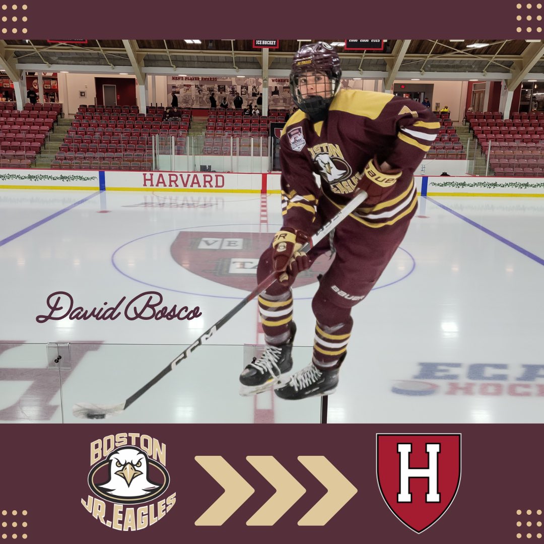 Congrats to 3-year 🦅 and current U18 David Bosco &amp; his family on his commitment to Harvard University!