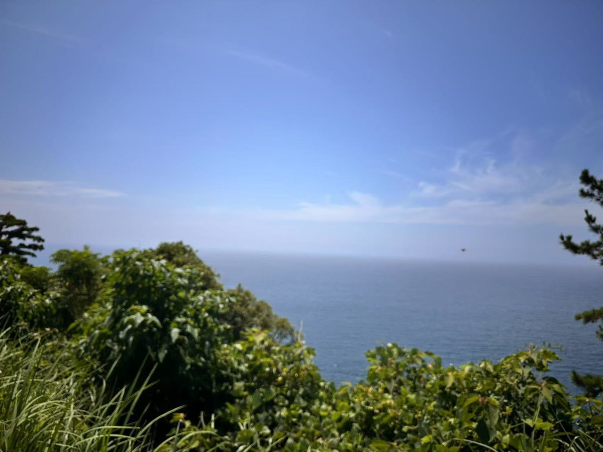 夏が帰ってきました！
少しモヤかかってます。
駐車場は無料開放してます〜
#ケープ真鶴,#真鶴