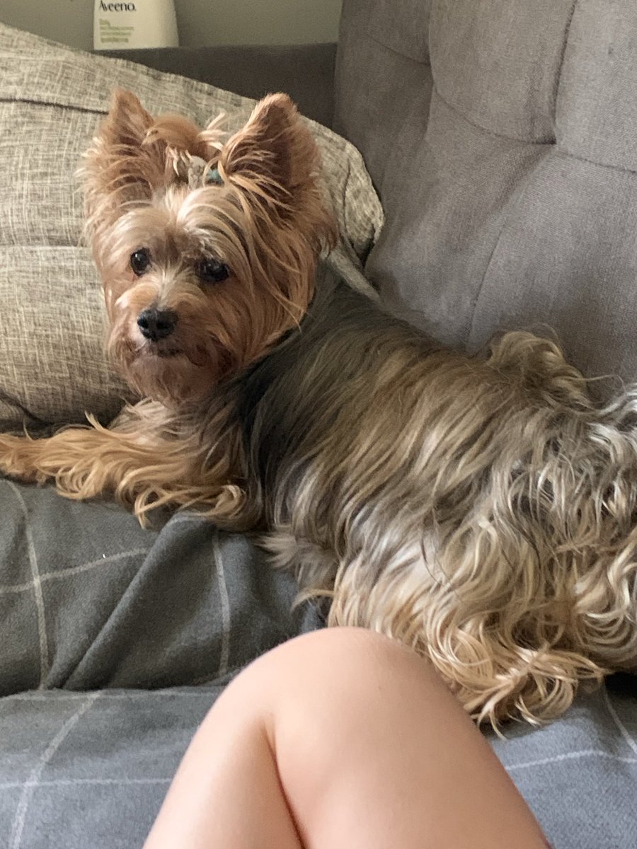 Sharon Tobin (@tobinsharo10219) on Twitter photo 