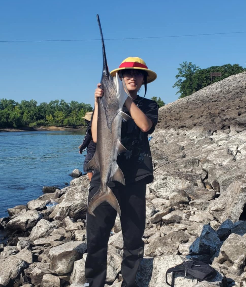 Chat everyone look at the fish i caught