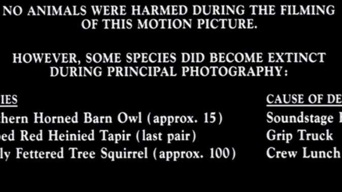 NostalgiaCast / Back To Bluey tweet media