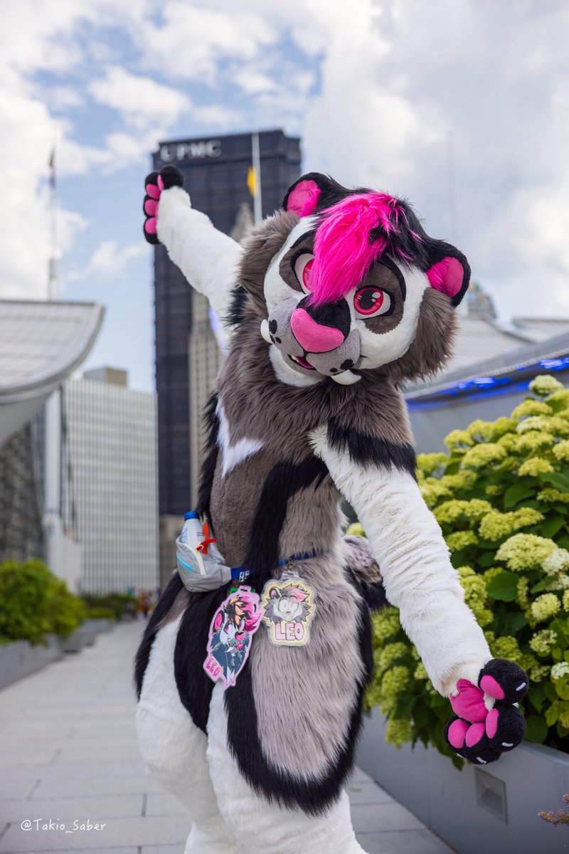 Leo Saber (@leosabertooth) on Twitter photo I love being a silly cat that travels to see friends almost once a month. Happy #FursuitFriday
๐ธ: <a href="/Takio_Saber/">Takio ๐ FE, FWA, AC</a> I love being a silly cat that travels to see friends almost once a month. Happy #FursuitFriday
๐ธ: <a href="/Takio_Saber/">Takio ๐ FE, FWA, AC</a>