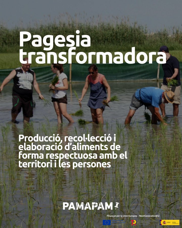 🌱Projectes agroalimentaris de proximitat que obren les seves portes

📌Granges, finques, formatgeries, obradors, molins, fleques, molls de pesca… 

<a href="/pamapamcat/">Pam a Pam 📌</a> ha fet un recull de projectes per descobrir-los en les teves escapdes

xes.cat/infoxes/2025/0…