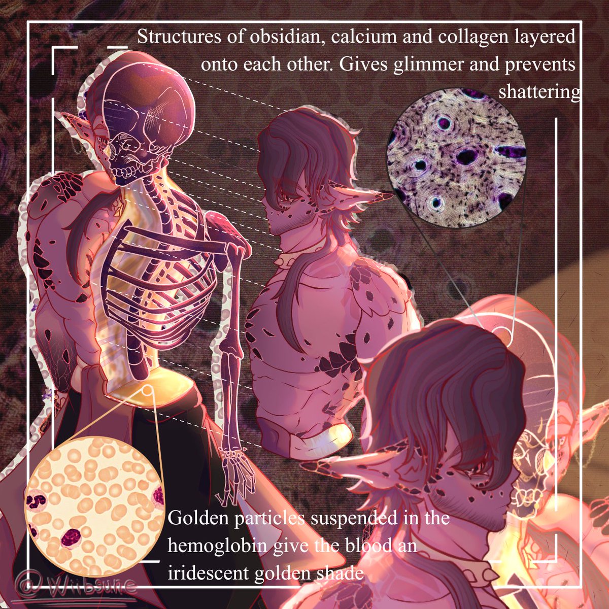 wiibsune's tweet photo. Biology concept for DnD

(20.06.2025) https://t.co/9R6P3XMOaP