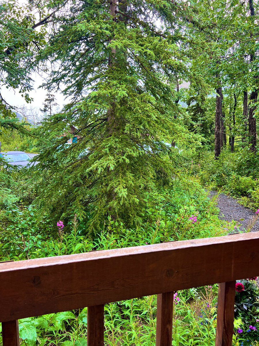 Off the grid. Out the way. Out of the mix 🏔️🗻❄️☃️🎣