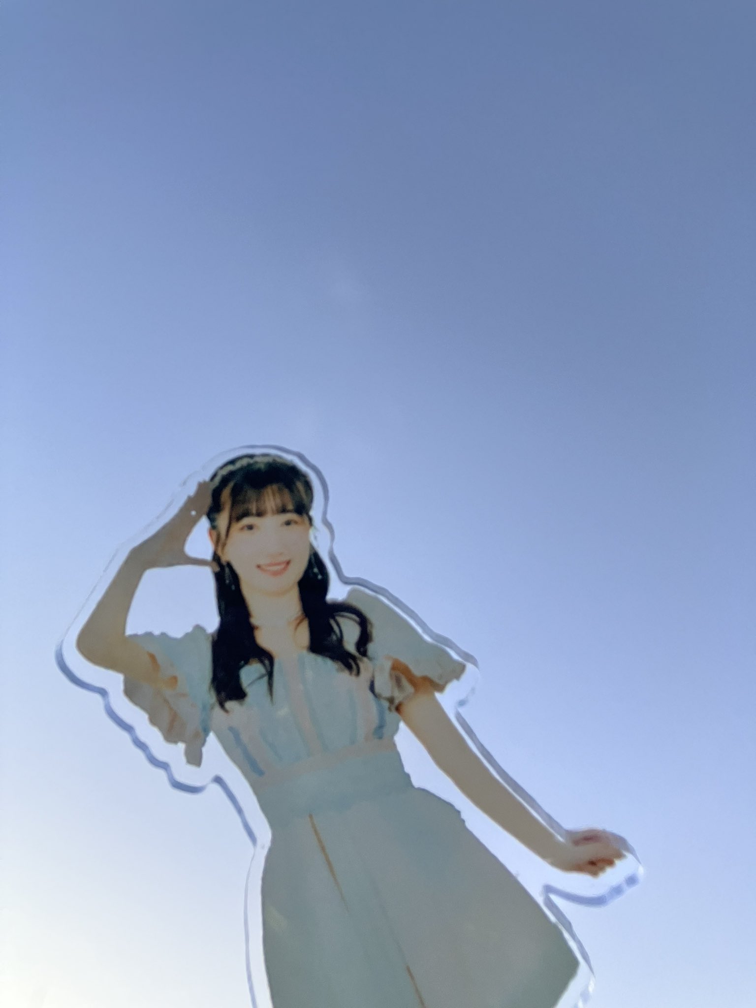 うめ@もふペディア作成継続中 on X: 