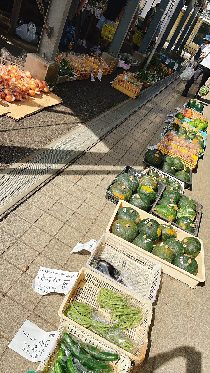 公式】酪農王国オラッチェΙ伊豆の親子でおでかけスポット on X