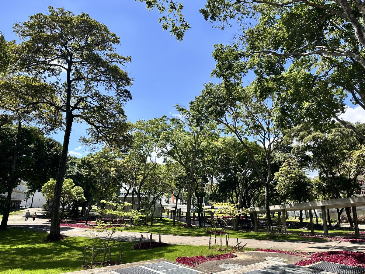 La UCV es un lugar mágico.