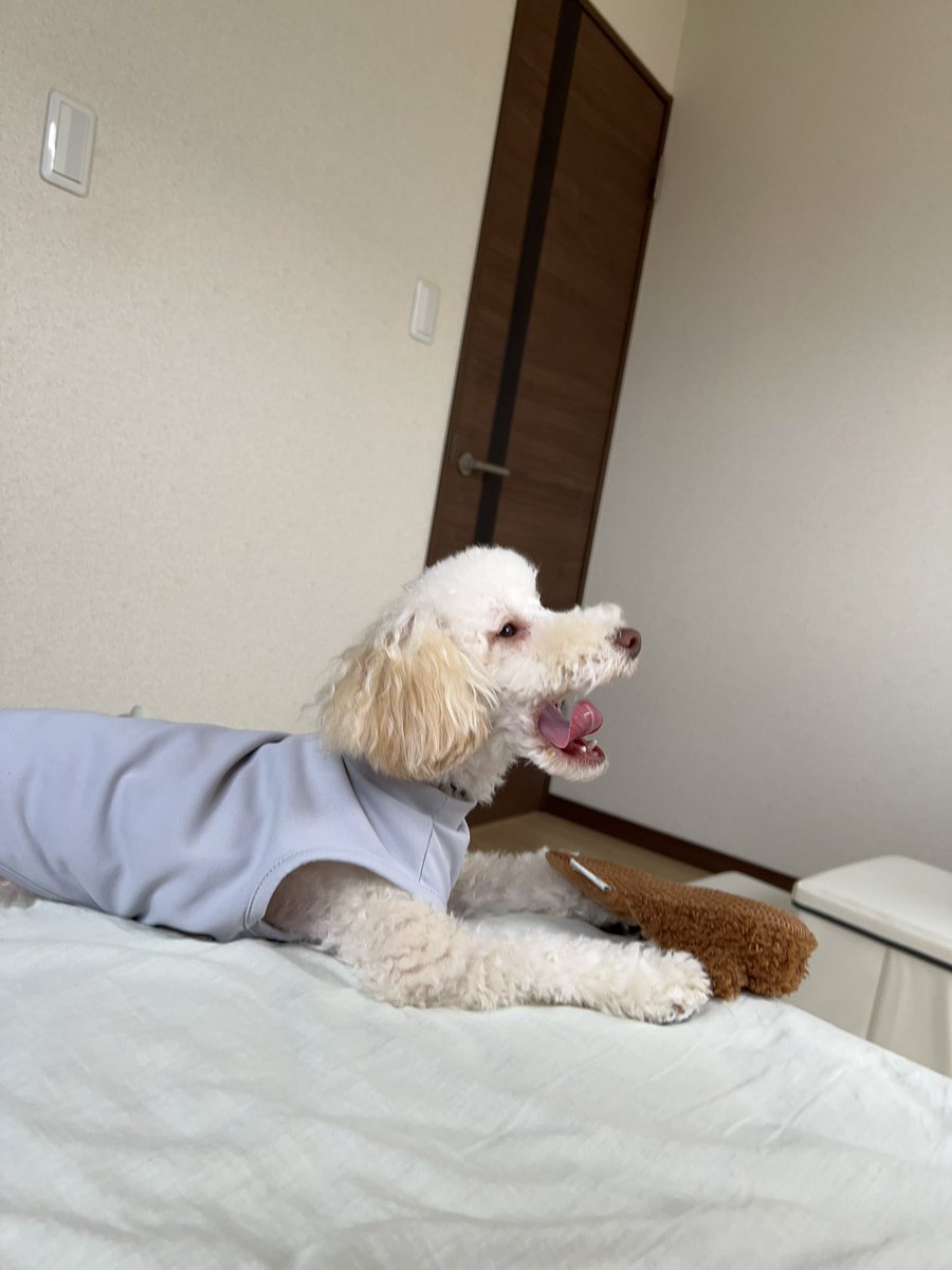 おはよ~！眠たいねぇ🥱