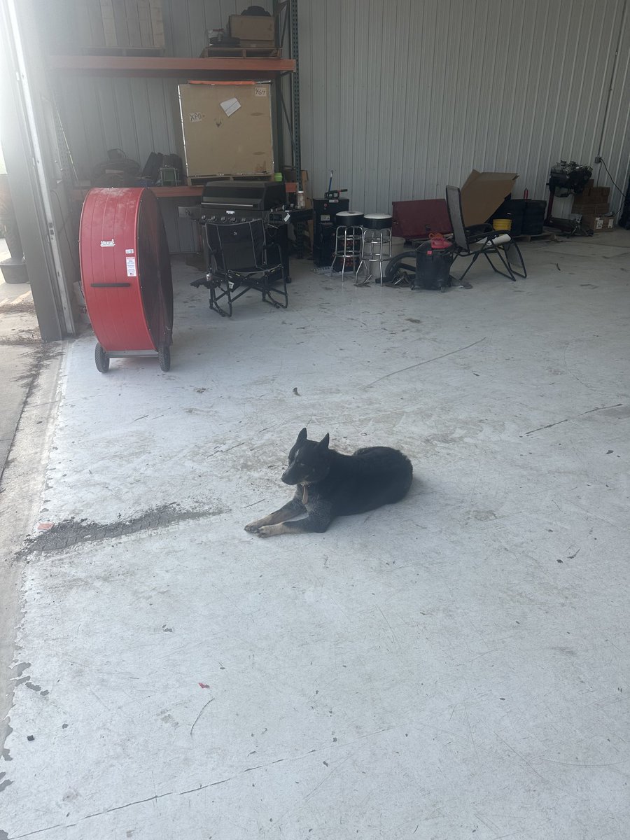 John Koop tweet media