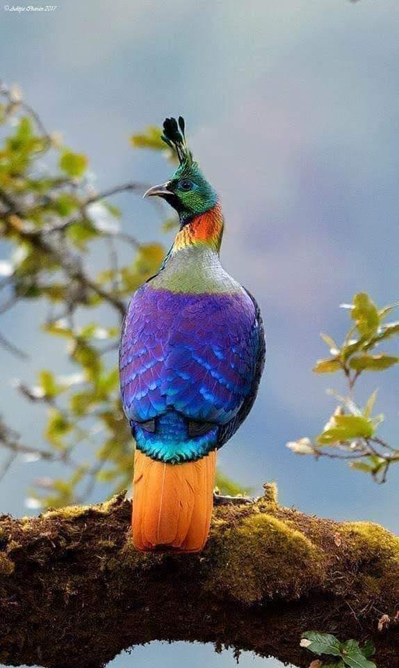 Nuevo Mes de la Mano de Dios.
Para ser: Protegidos, Fortalecidos, Amparados, Cuidados, Amados y sobre todo Bendecidos por un Dios tan bueno lleno de Misericordia.
.
.
.
Bienvenido Agosto !!!