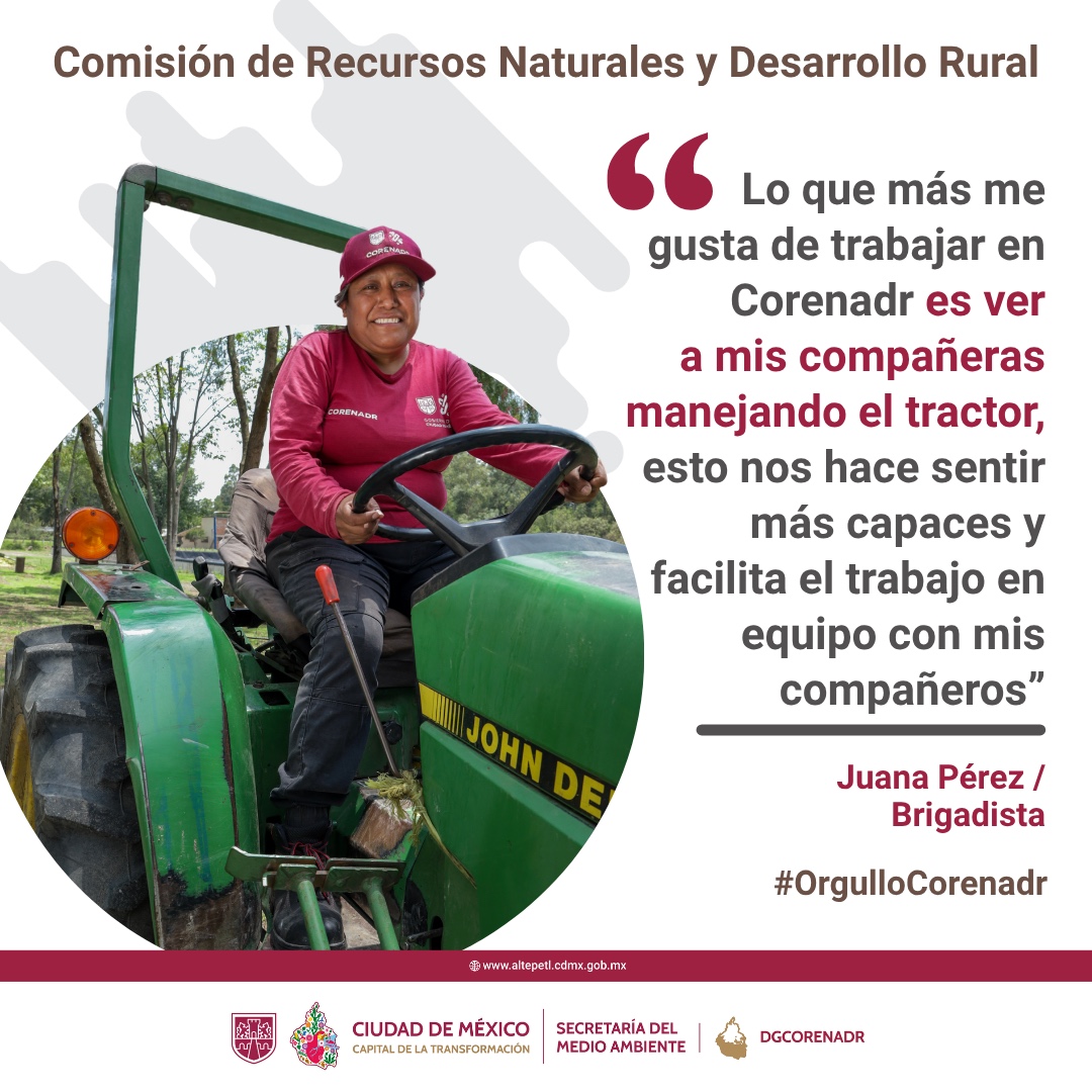 🚜💜La capacitación constante de las mujeres que laboran en la Corena es fundamental para la preservación del #SueloDeConservación.

Juana Pérez es brigadista y lo que más disfruta es saber manejar el tractor y colaborar con sus compañeras y compañeros.

#OrgulloCorenadr
