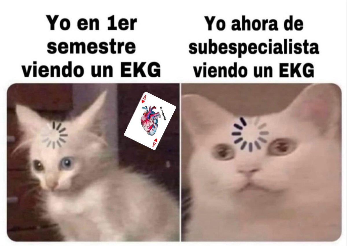 Recuerdos…🤣🫀⚡️