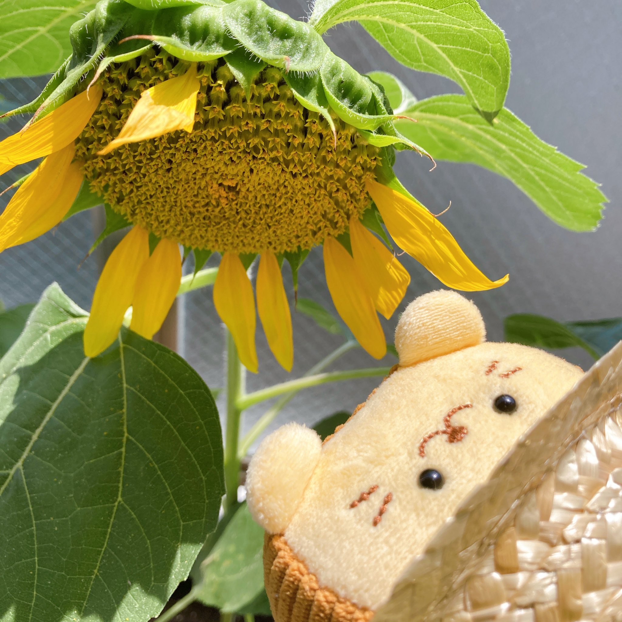 やま】ひまわりカラーのお花ちゃん形オルゴナイト☆他8点
