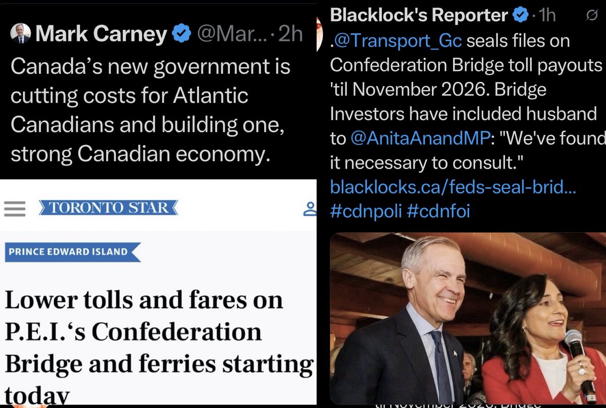 Hey Mark how much taxpayer money are you using to compensate Anita Anand’s husband??