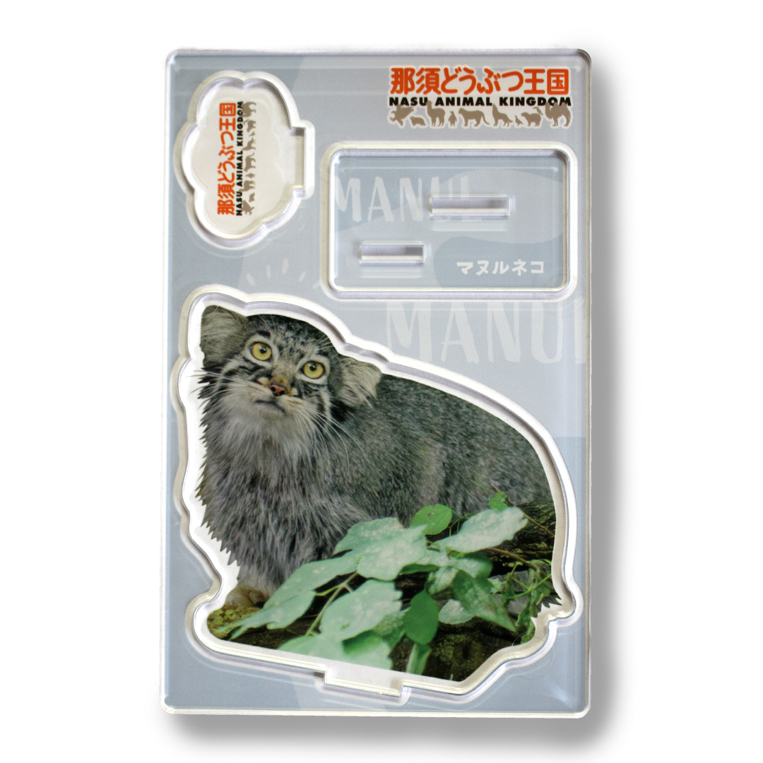 那須どうぶつ王国　アジアの森　缶バッジ　アクキー　コンプリートセット　マヌルネコ マヌルネコ レフ 缶バッジ 那須どうぶつ王国 - メルカリ