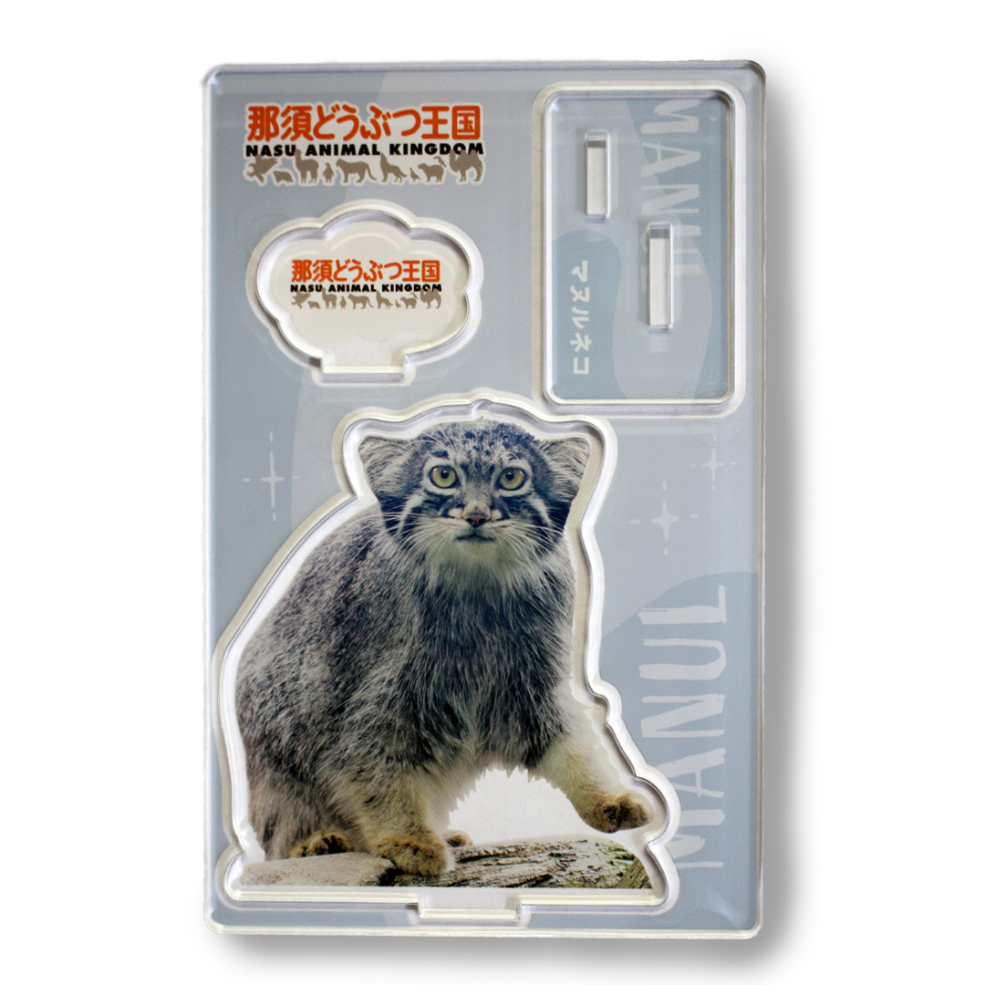 那須どうぶつ王国　アジアの森　缶バッジ　アクキー　コンプリートセット　マヌルネコ キーワードによる検索 | 那須どうぶつ王国ネット