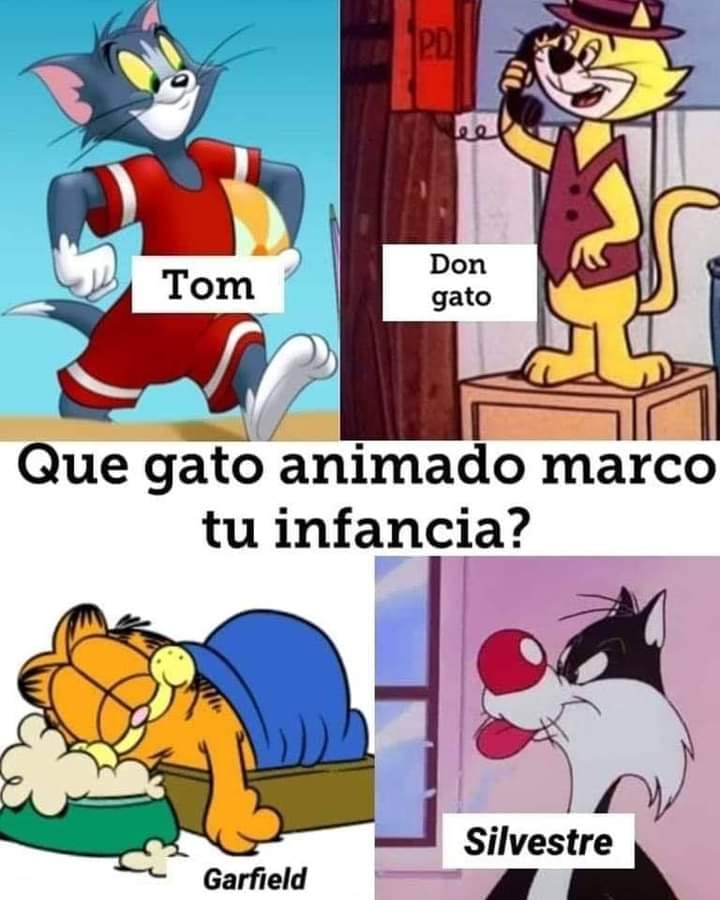 Andrés Guzmán #Anguz tweet media