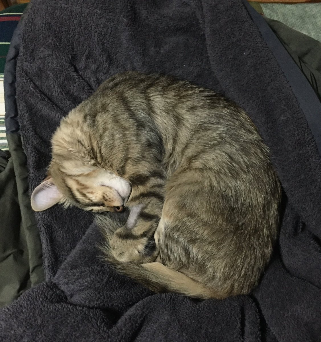 DannyMesss's tweet image. Como empezó  |  como leudó