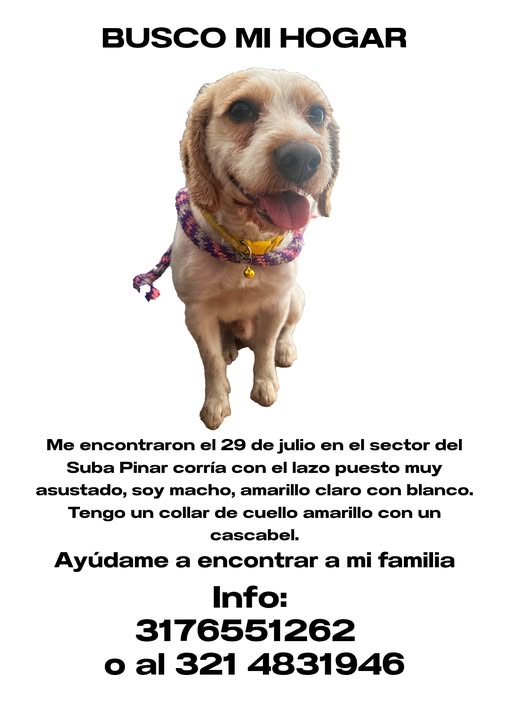 RT RT RT