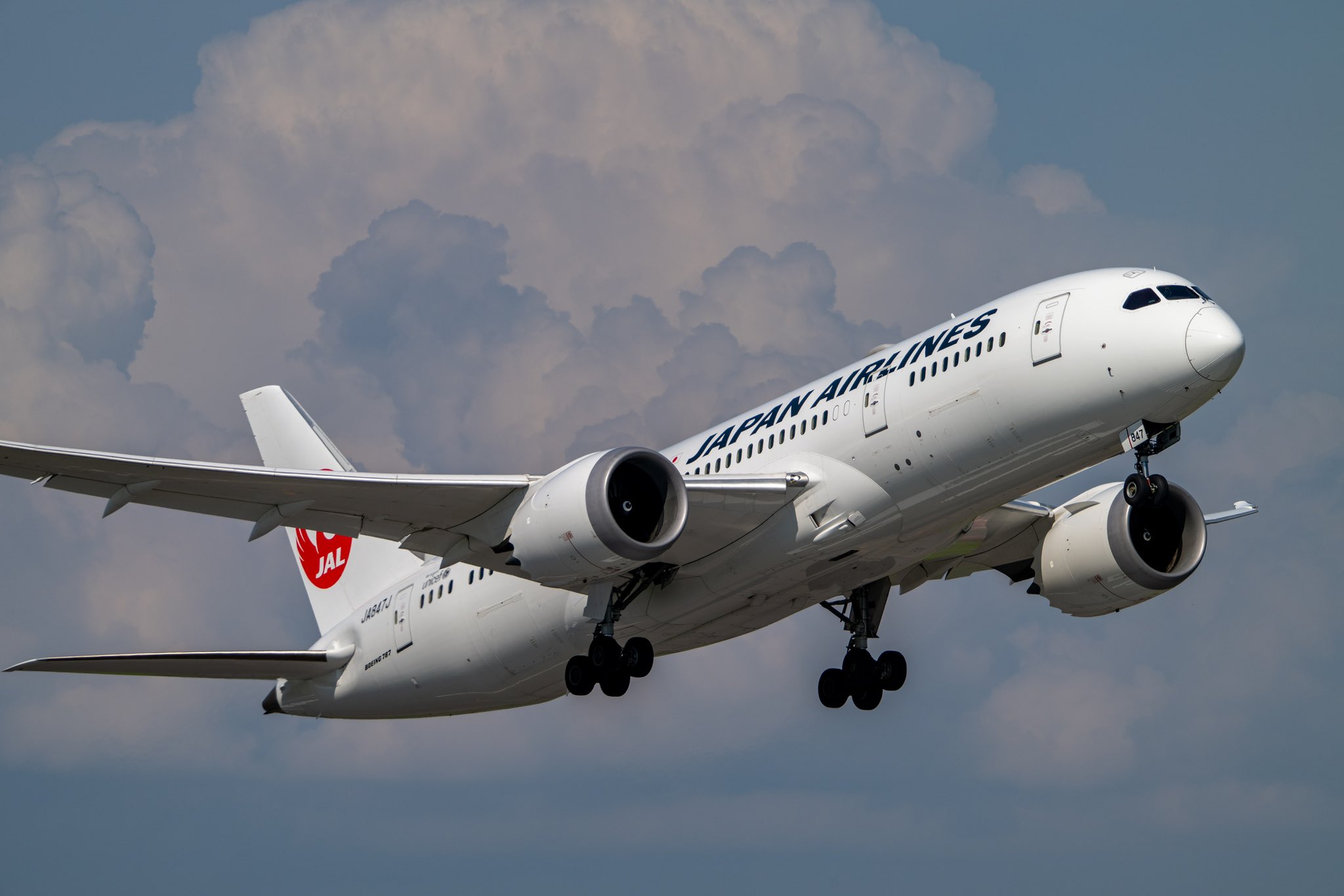 最終値下げ期間中　日本航空 Boeing787-9 230810_kid2142_787_tzp-640.jpg