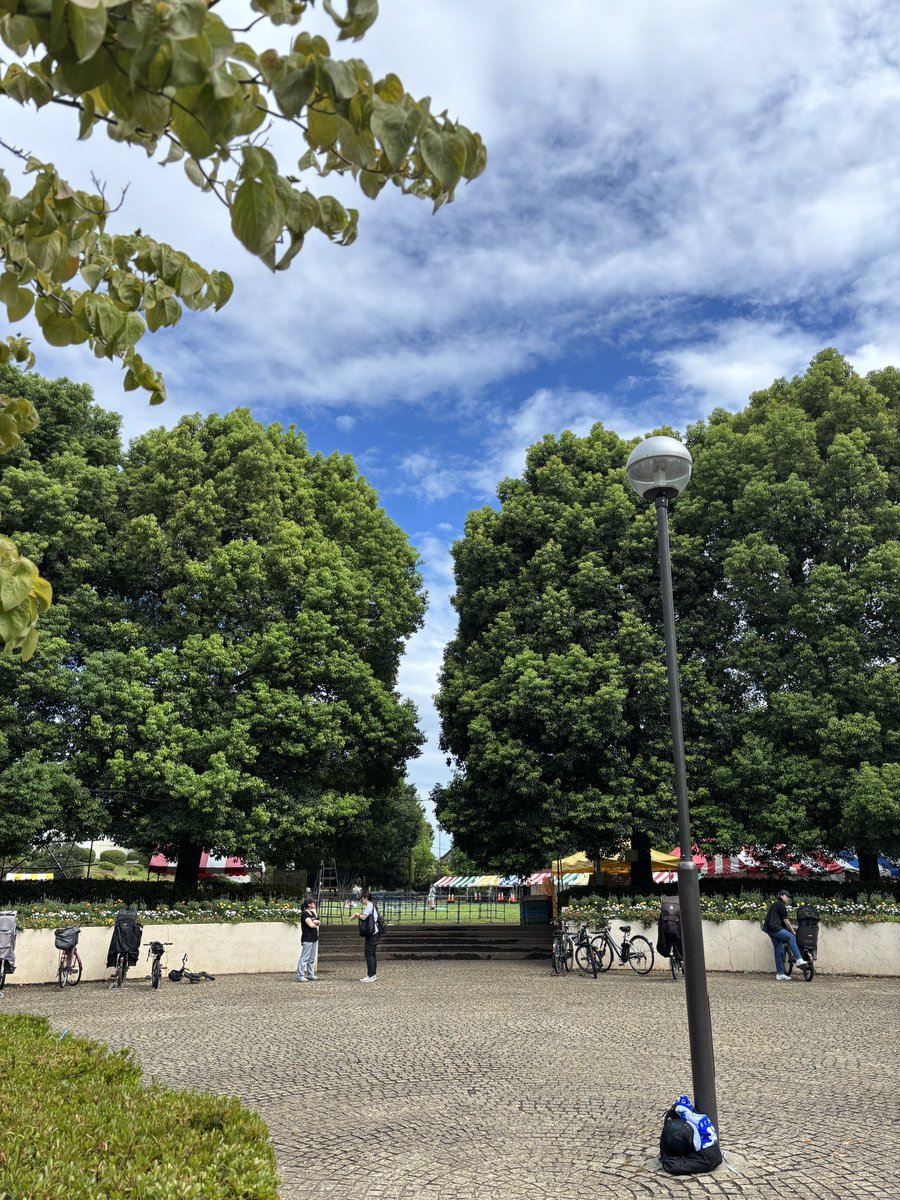 今日と明日は保谷の文理台公園の夏祭り。