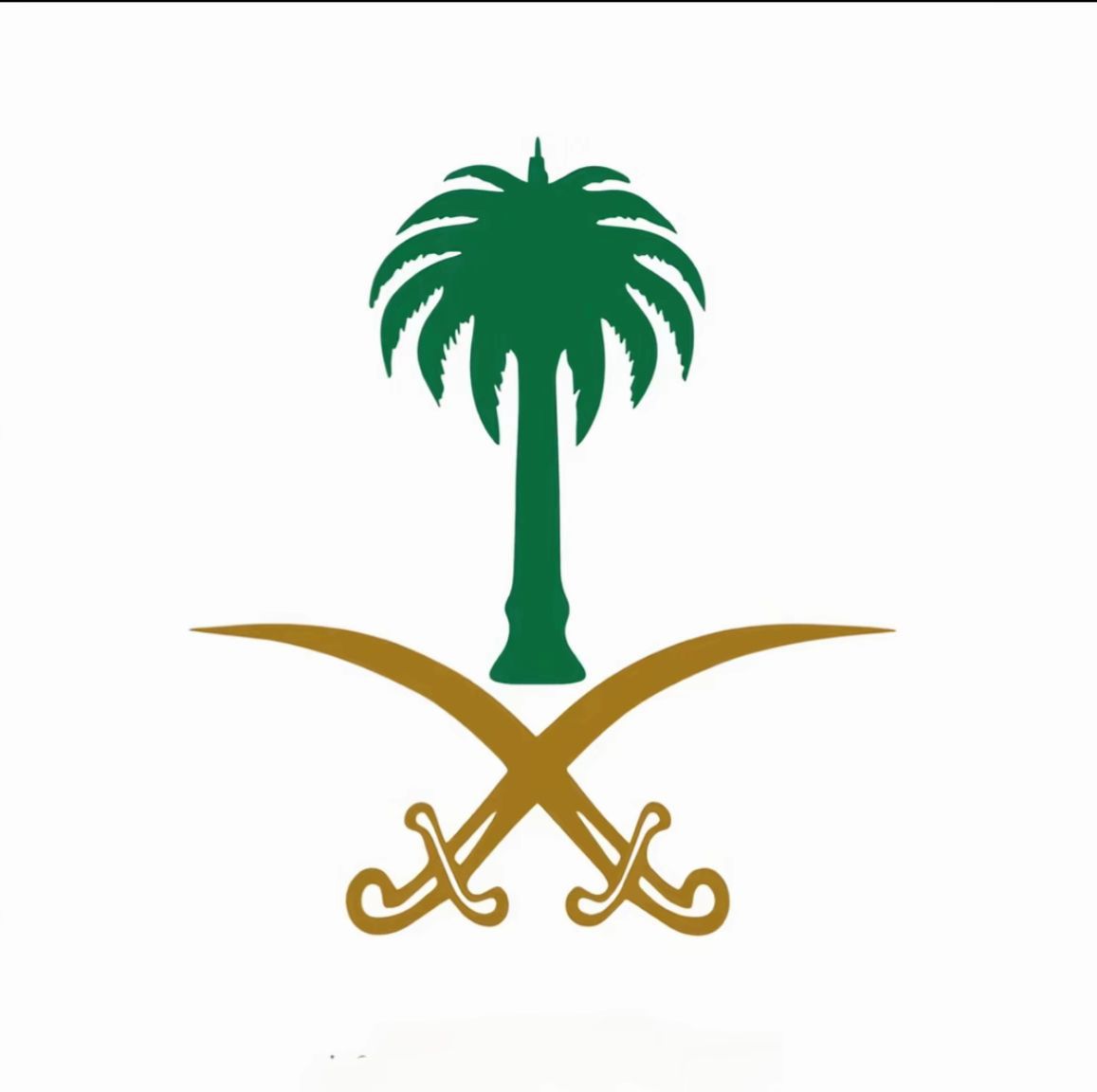 bne711's tweet photo. 💚🇸🇦💚 https://t.co/tZn3a7EPj4