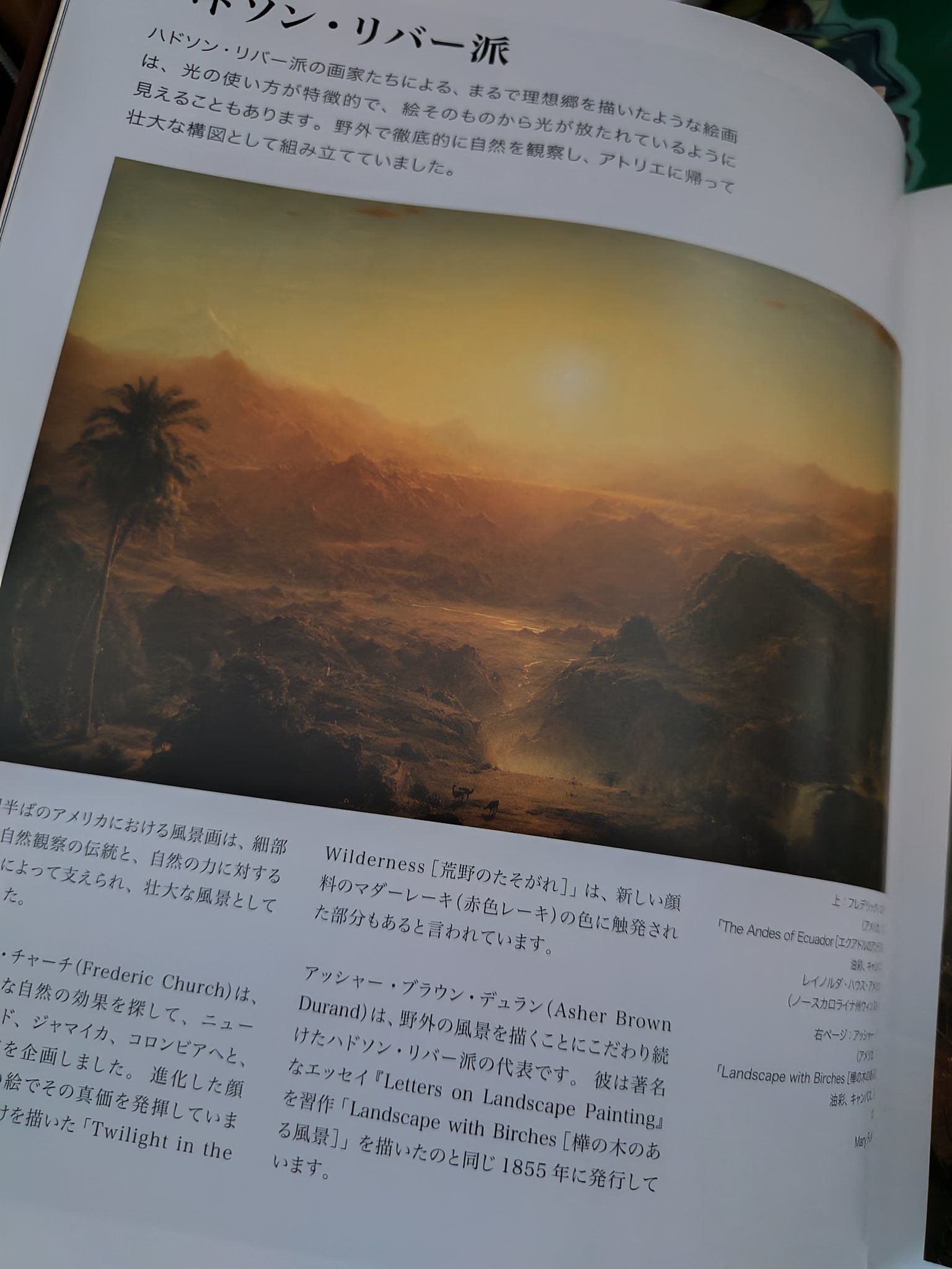 やまねこ♡　他の方はいいね、コメントご遠慮くださいね。 ねここ（＿△＿） on X: 