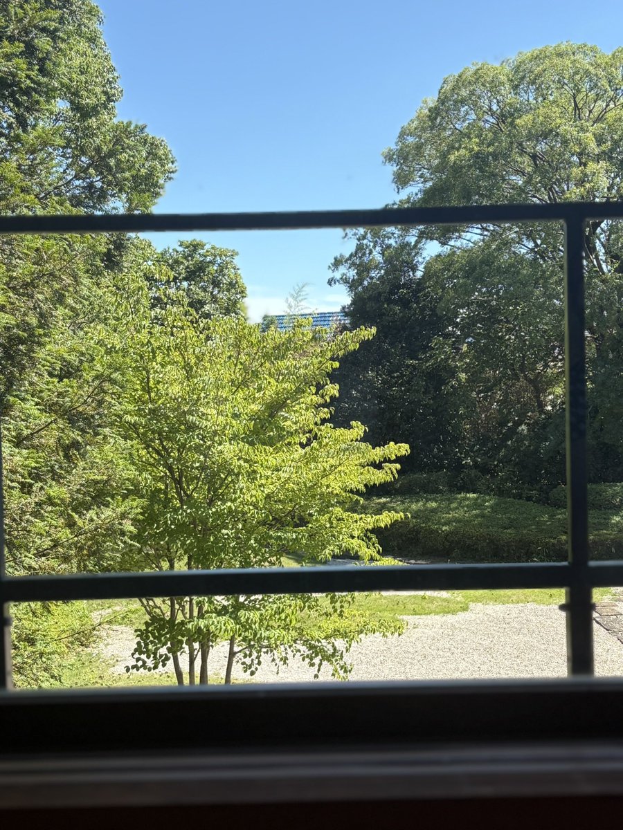 kudounana0620's tweet photo. おはようございます🥰🥰
素敵な週末をー🧝🏻♀️🧝🏻♀️🧝🏻♀️
#ポートレート
#庭園
#templecafe
#temple
#カフェ https://t.co/y3o7pQbvxn