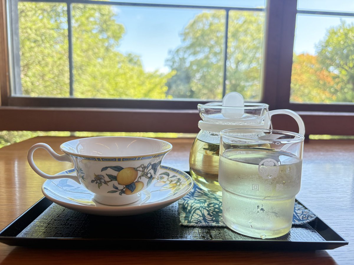 kudounana0620's tweet photo. おはようございます🥰🥰
素敵な週末をー🧝🏻♀️🧝🏻♀️🧝🏻♀️
#ポートレート
#庭園
#templecafe
#temple
#カフェ https://t.co/y3o7pQbvxn