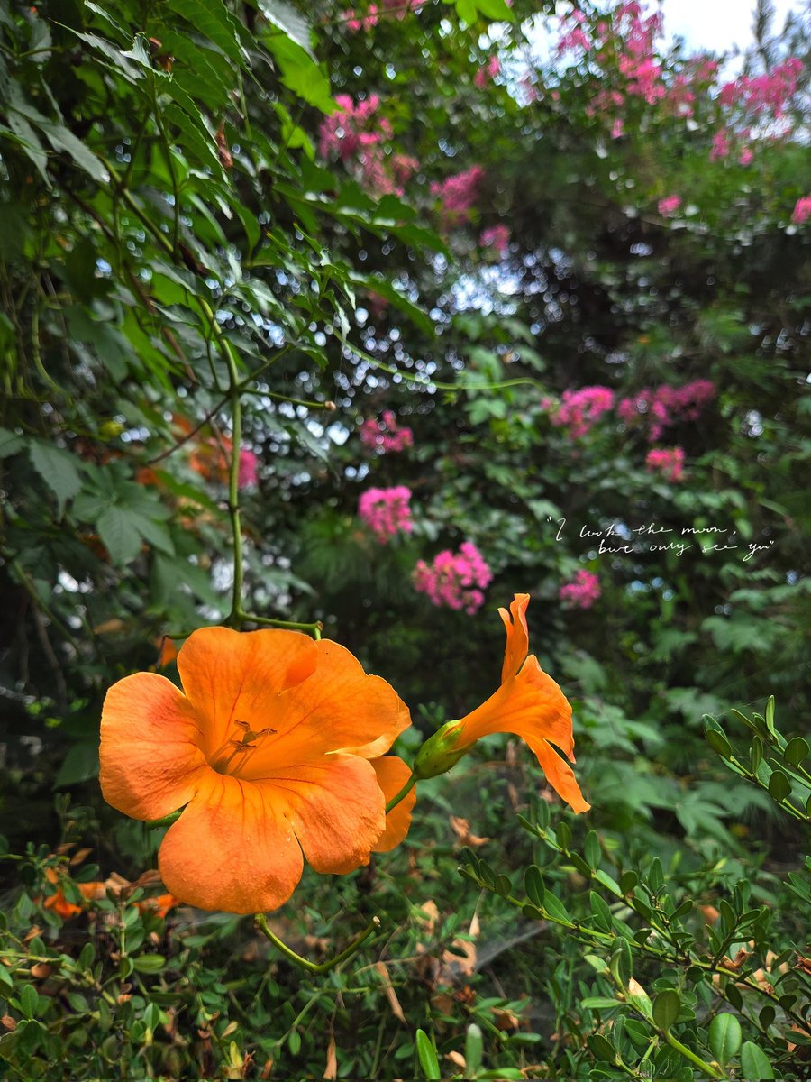 한철 머무는 마음에게 서로의 전부를 쥐여주던 때가 우리에게도 있었다
- 박준, 마음 한철