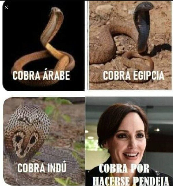 <a href="/LillyTellez/">Lilly Téllez</a> <a href="/fernandeznorona/">Fernández Noroña</a>