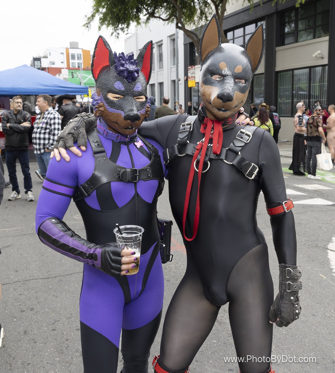 Dot the Photographer tweet media