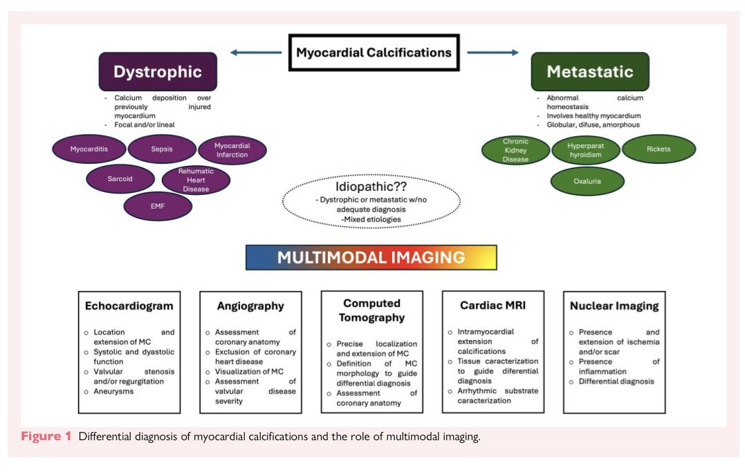 A recent editorial. Electrical storm associated with cardiac calcifications.