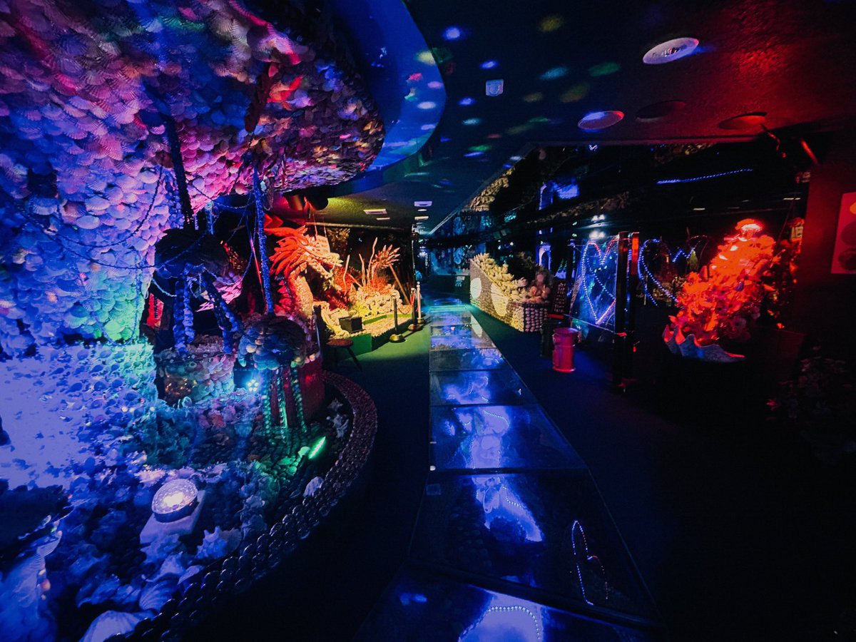 ずっと行きたかった竹島ファンタジー館に行けて脳みそトリップ出来るファンタジー世界を味わってきた
5500万個の貝で作られた世界観にサイケデリックな海底のロマンを感じれた🐚