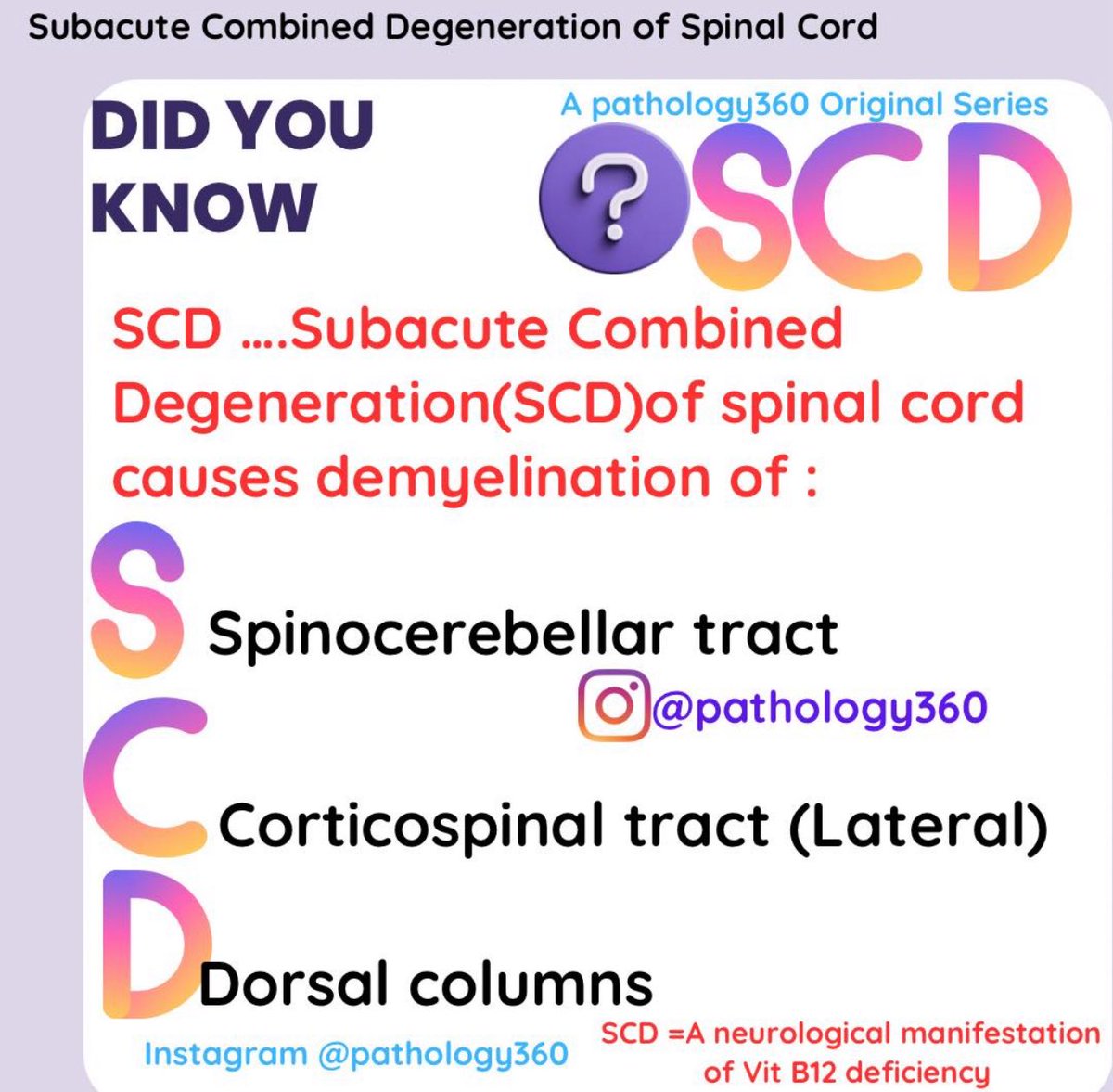 drkeithsiau's tweet photo. Causes of subacute combined degeneration of the spinal cord:
✳️ Low B12
✳️ Low copper
✳️ Chronic nitrous oxide use https://t.co/R6FP4l6TLi