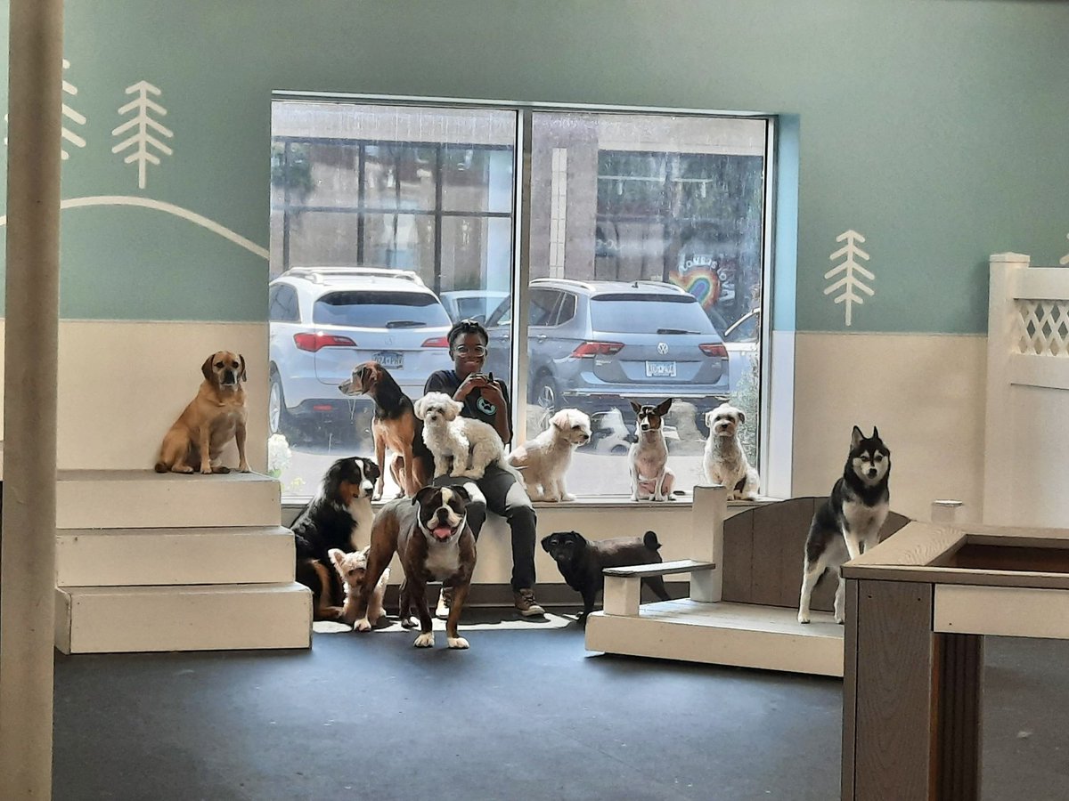 heavyn 🐾🦜🔞🔜 fwa tweet media