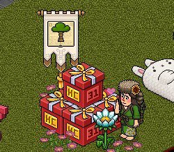 🌳 Divium Forest 🌳 tweet media