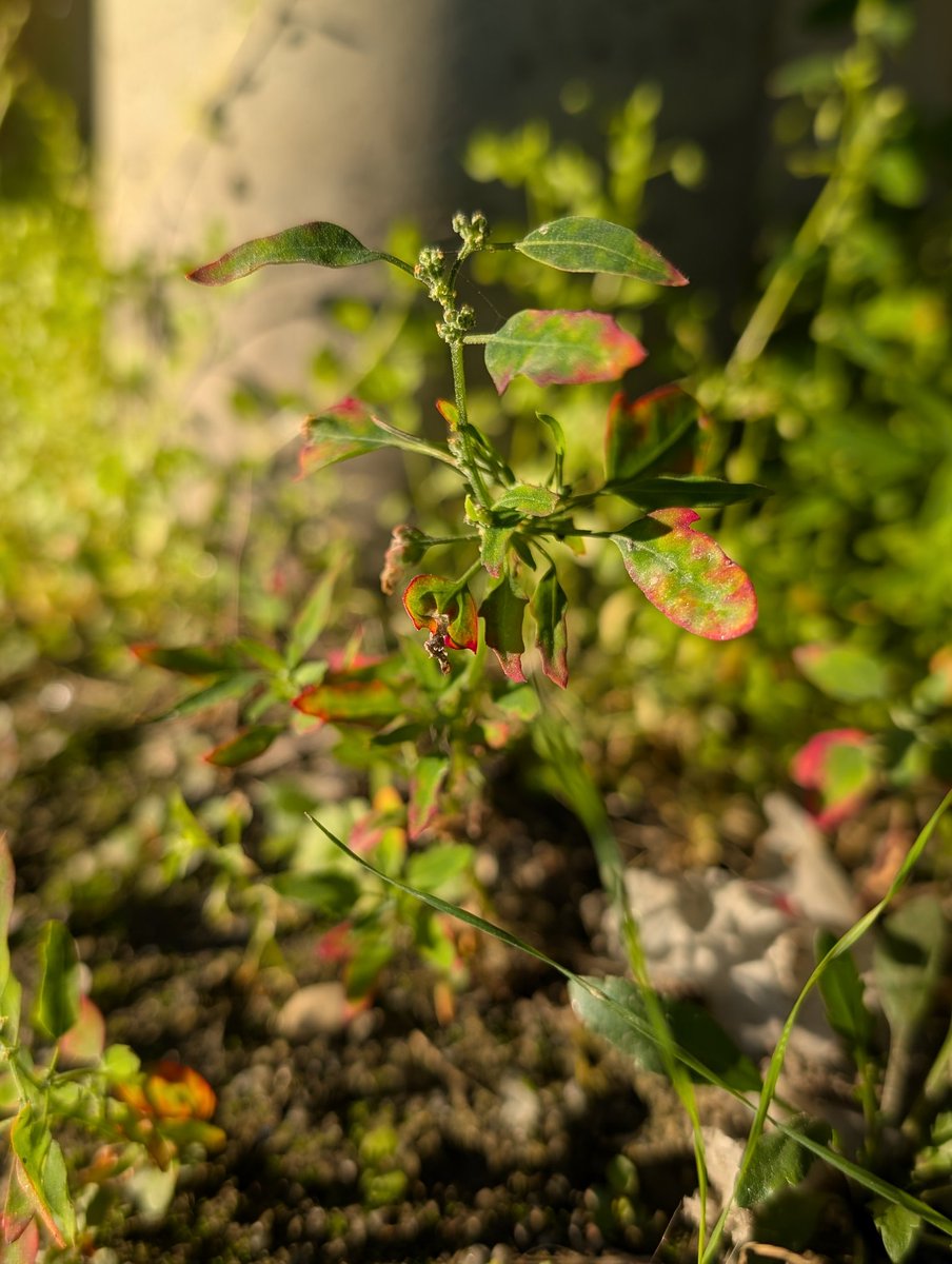 Share a random picture that you took today! 😁

#photography #nature