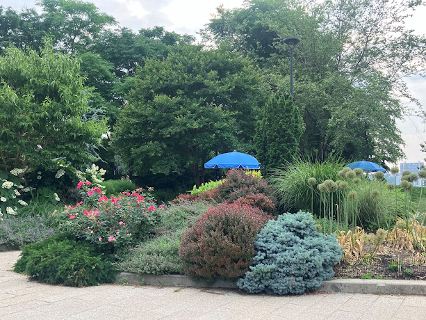 kirby_usa's tweet photo. Hudson River Park, Chelsea, NYC.
#photography #NaturePhotography #art #photographers #NYC #parks #trees #Cityliving #iloveny #timeoutnewyork #ThePhotoHour
@OutdoorPhotoMag #Cityliving #nycgo #thisisnewyorkcity @HudsonRiverPark #flowers https://t.co/MLTkdFd2Yv
