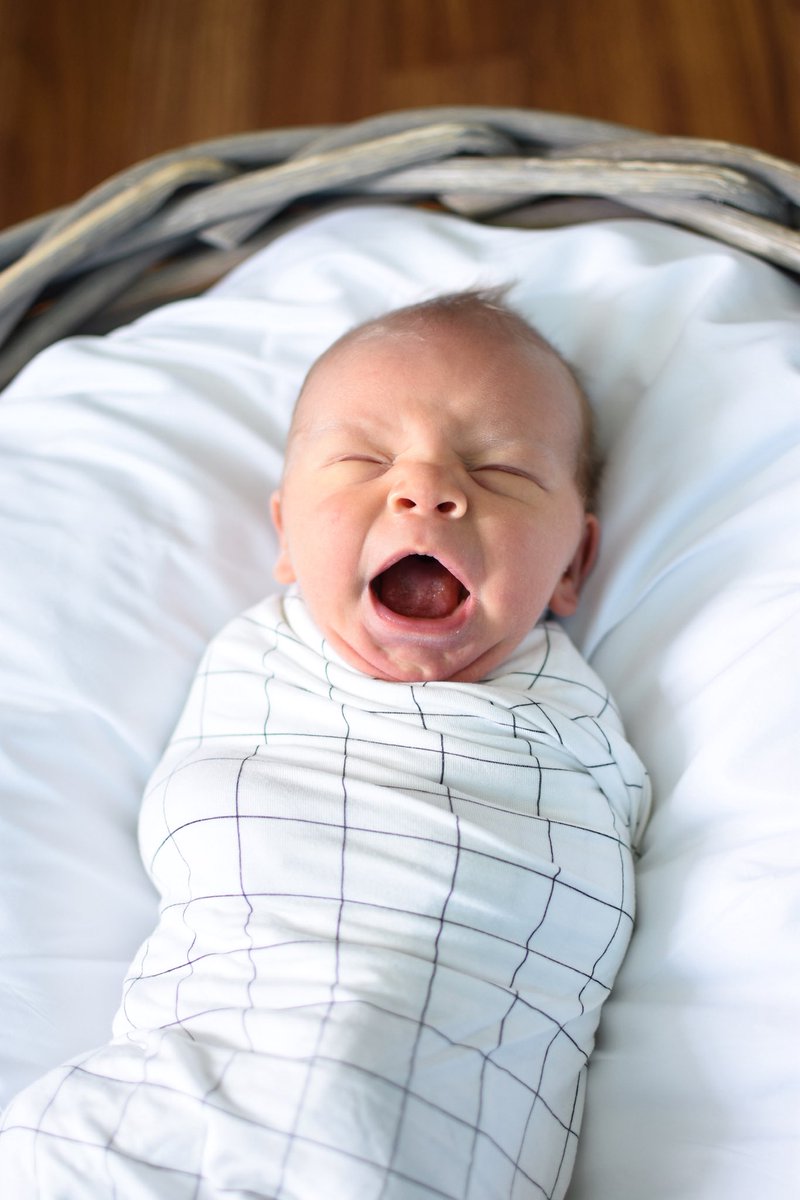 Eric Jorgenson 📚 ☀️ tweet media