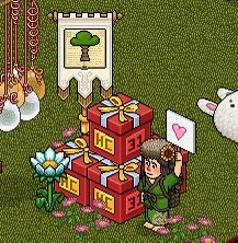 🌳 Divium Forest 🌳 tweet media