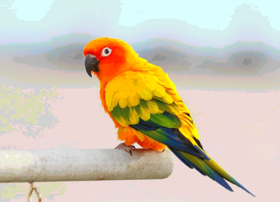 digimbyte π (@digi__byte) on Twitter photo #Retro #pixelart 
is this enough colors for a LUT?
these examples do a good job #Retro #pixelart 
is this enough colors for a LUT?
these examples do a good job