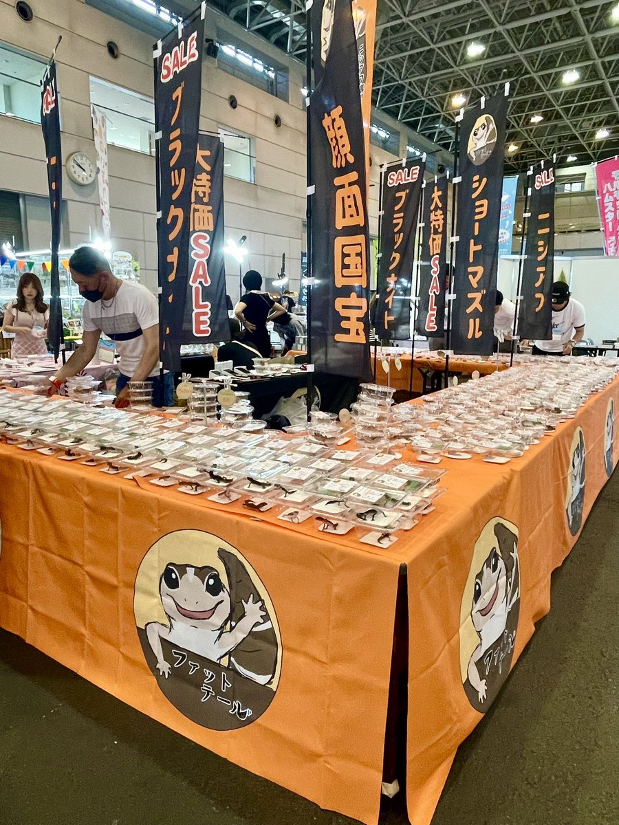 シズレプ設営終了しました🔥

900匹持ち込んでおりまして、全てのモルフ大特価です😭

特におすすめなのが

✅ラキビオ(キャラメルアメルオレオ)
✅ゴーストキャラメルオレオズールー
✅パープルヘイズ
✅ブラックナイト

こちらのクオリティと価格は超絶びっくりしていただけると思います😱