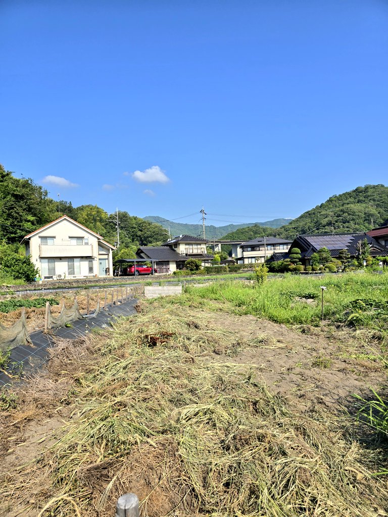 いわゆる草刈りは、すぐに再生するどころか🌿彼らはパワーアップしてくる

これを繰り返すのはキツイ😖
今年度の本気💪根こそぎ剥ぎ取る！

地面下20センチ位が根っこで敷き詰められている🔥それを全部剥ぎ取る作業をやっています×600坪

B-ZONE
これが➡こうなった
やればできる

今日も頑張ろうぜ！