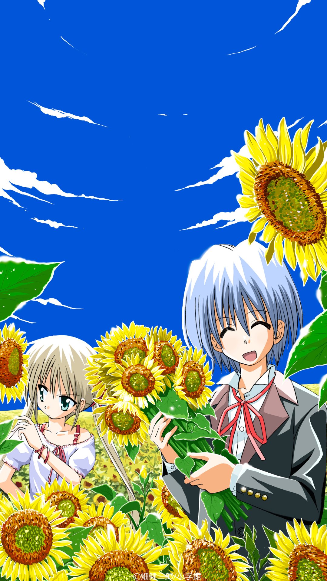 はやてのごとく コミック】ハヤテのごとく! 完全版(7) | アニメイト