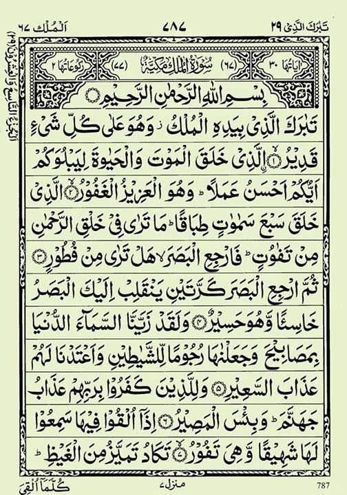 السلام علیکم ورحمتہ اللہ وبرکاتہ  
صبح بخیر 
Wishing you a happy Day ✨😍