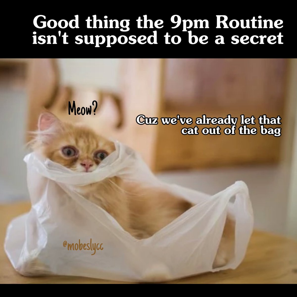 OviedoPD's tweet photo. Cat's out of the bag. If you don't lock up, criminals will have a good time taking your stuff. #9PMROUTINE https://t.co/jedacQ33K3